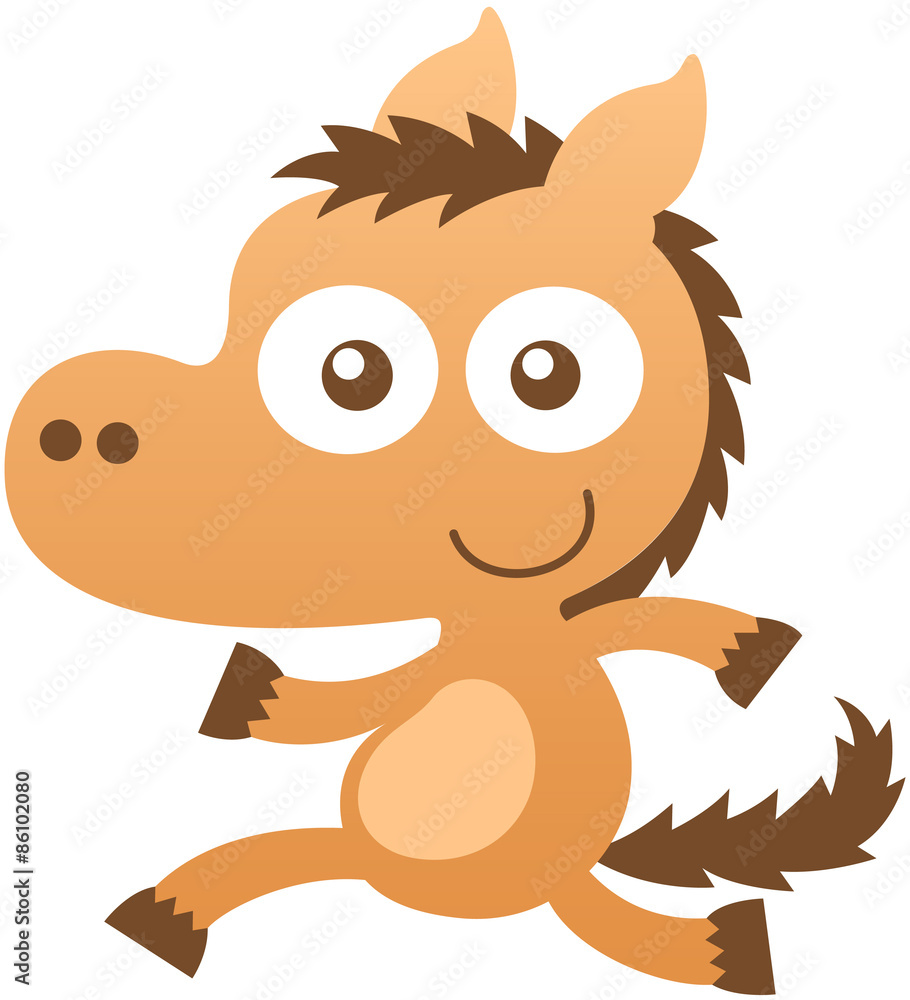 Cute baby horse smiling and running Cute baby horse smiling and running