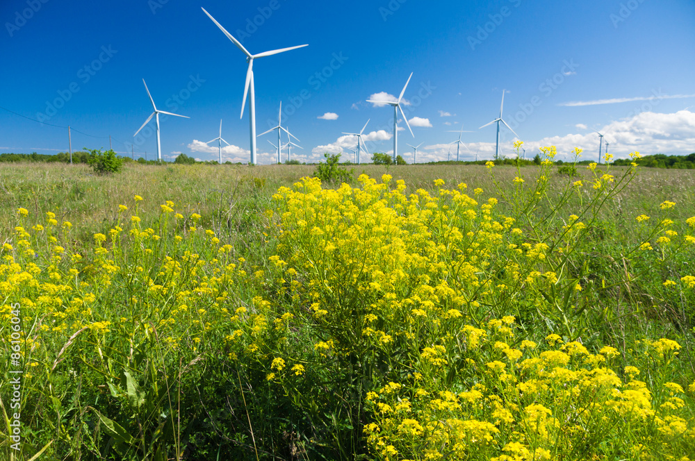 Wind generators area with colza flowers in front. Wide angle vie Wind generators area with colza flowers in front. Wide angle vie