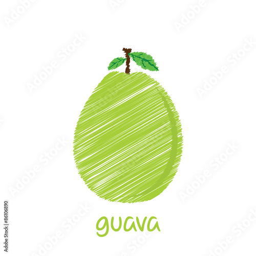 guava fruit, sketch design vector