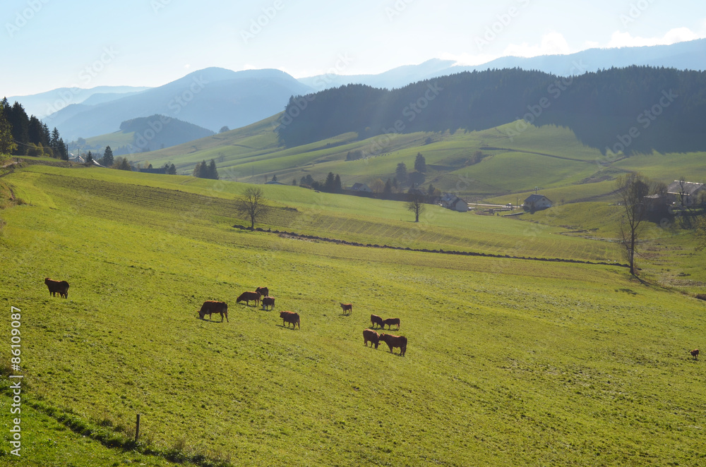 Obraz premium Pâturages Autrans