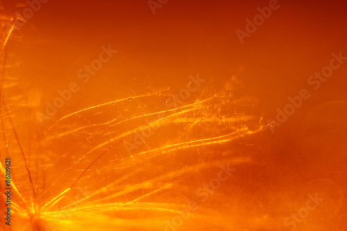 blurred bokeh abstract orange background