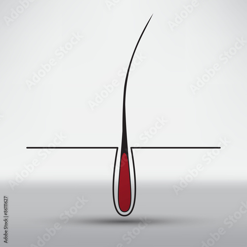 hair follicle treatment design