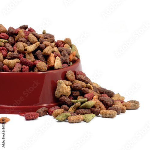Multicolored dry cat or dog food in red bowl isolated on white b