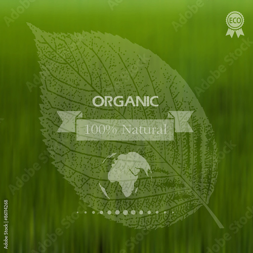  Eco label of Organic Standart. Concept. Environmental protectio