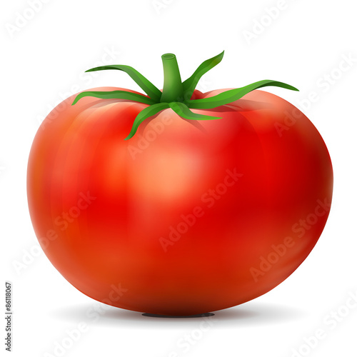 Tomato with leaves close up. Tomato fruit isolated on white