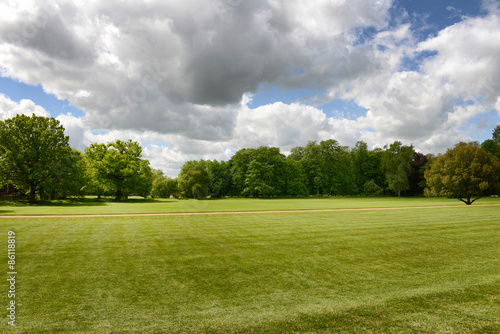 Lush green manicured lawn and trees