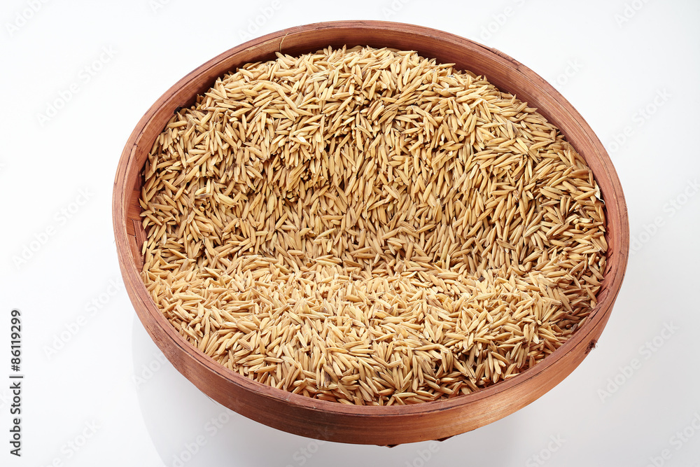 Paddy on Tray isolated on white background Paddy on Tray isolated on white background