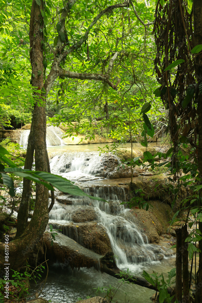 Fototapeta premium The forest and waterfall
