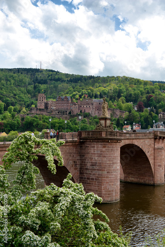 Heidelberg Castle and Historic Old Bridge