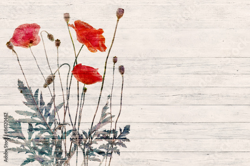 Fototapeta Naklejka Na Ścianę i Meble -  Poppies on white wooden background