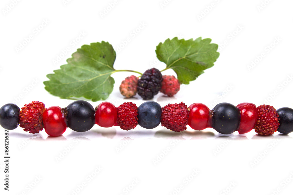 skewer with forest ripe berries