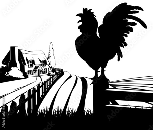 Cockerel crowing farm illus...