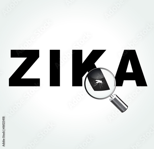 mosquito on zika virus