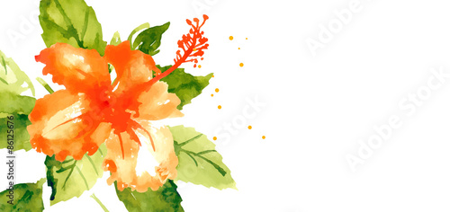 Vector background with red watercolor hibiscus