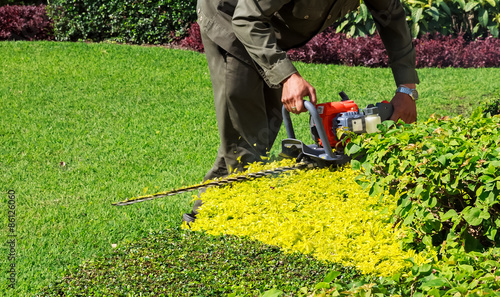A man trimming shrub with Hedge Trimmer, Closeup
