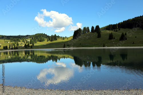 beautiful alpine lake with the mountains and the trees