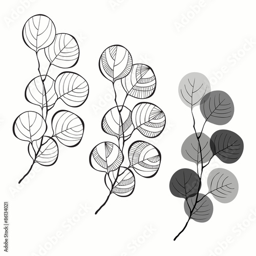 Set of abstract branches isolated on white background.