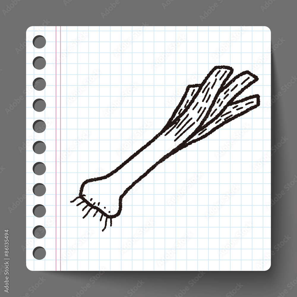 onion doodle onion doodle
