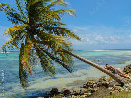 Coconut tree on the Caribbean Sea in Guadeloupe.