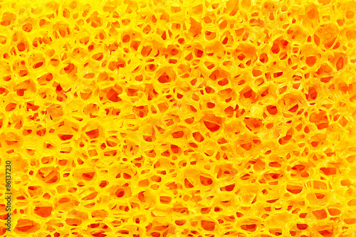 Yellow porous texture