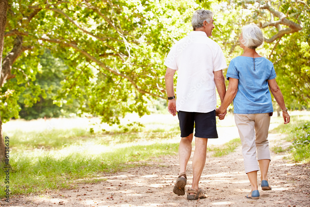 Senior couple walking together in the countryside, back view Senior couple walking together in the countryside, back view
