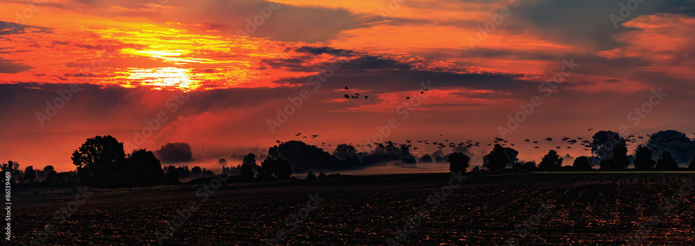 Obraz premium Autumn Sunrise Rural Landscape Panorama