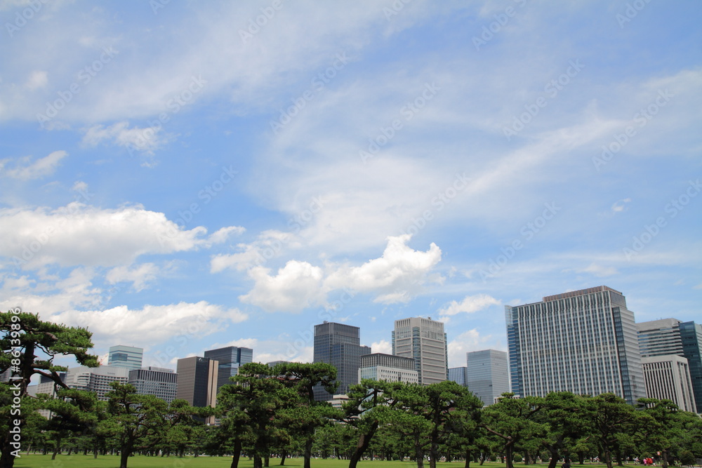 皇居外苑と丸の内の高層ビル