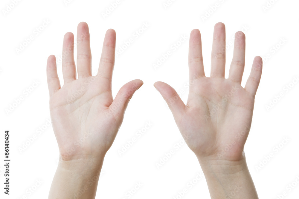 Two female hands, palms up isolated Two female hands, palms up isolated