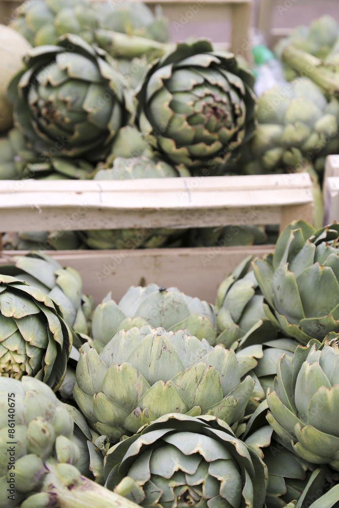 Obraz premium artischocken