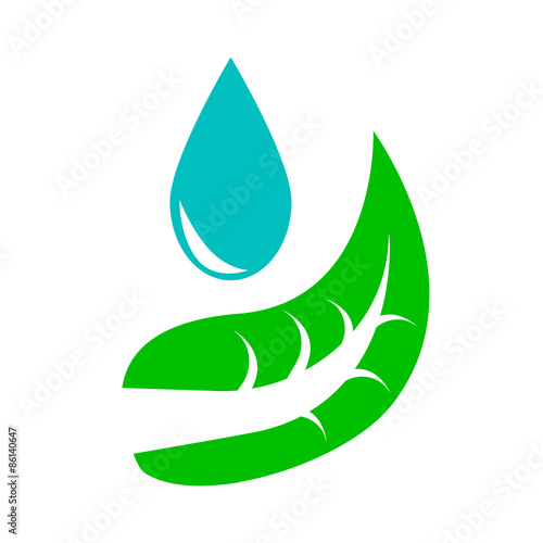 Water drop and leaf