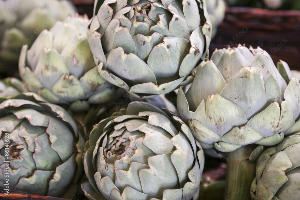 Fototapeta premium artischocken