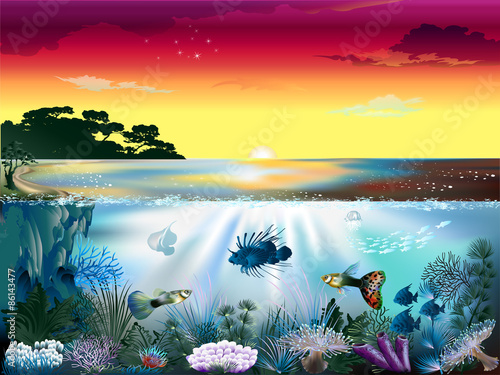 The underwater world of fish and plants