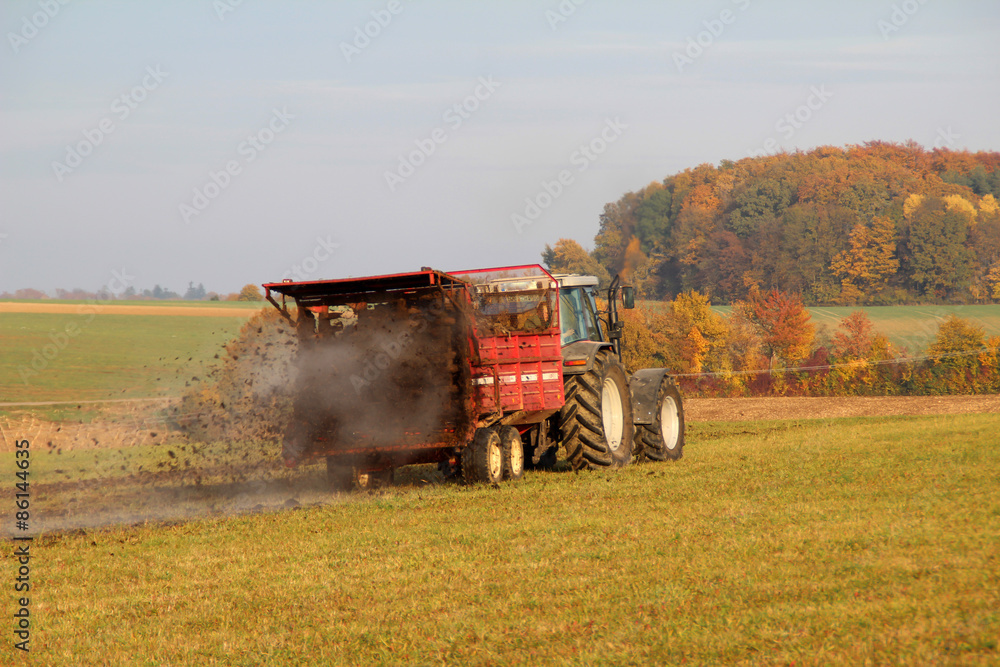 Naklejka premium Tractor at work. Tractor spread manure.
