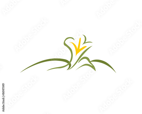 Fototapeta Naklejka Na Ścianę i Meble -  Orchid Lawncare Symbol