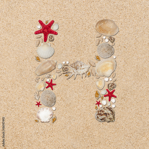 H - letter arranged from sea shells and starfishes