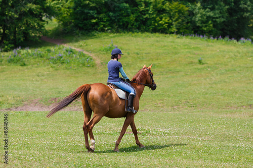 Horserider on the meadow © castenoid