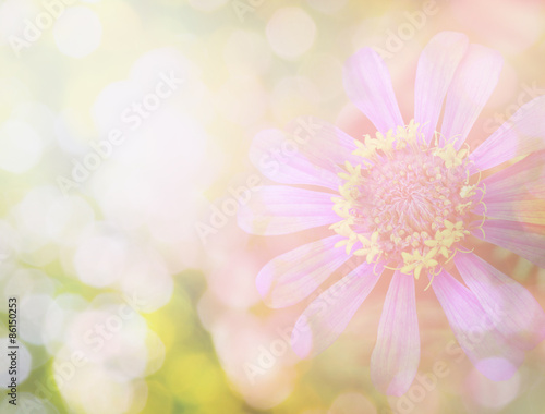 flower in vintage color © patungkead