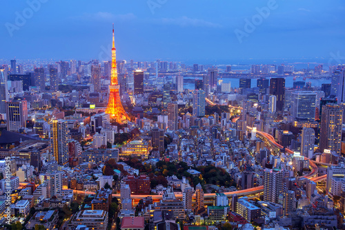 Fotomural aerial night view of tokyo tower