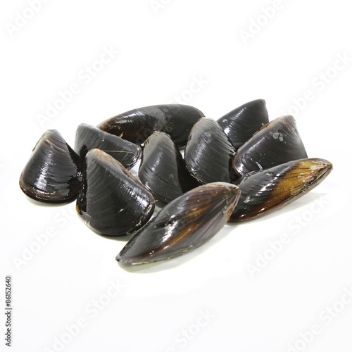 Fresh mussel isolated on white.