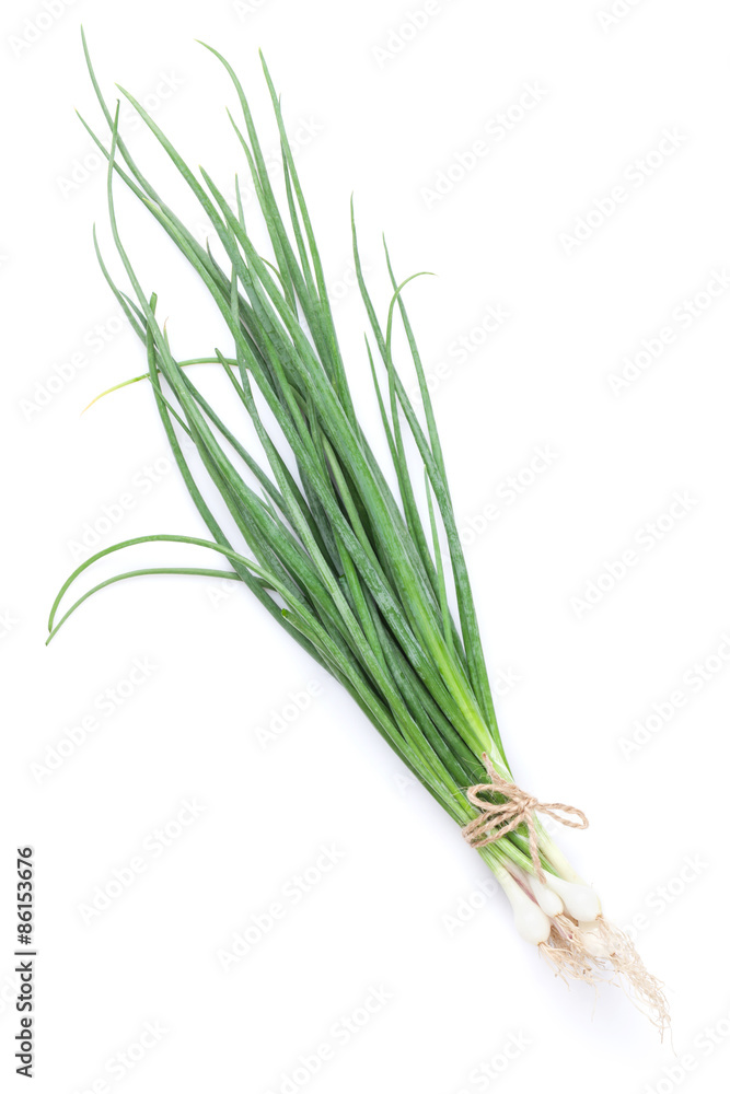 Fresh garden herbs. Spring onion Fresh garden herbs. Spring onion