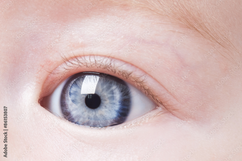 Obraz premium eyes baby