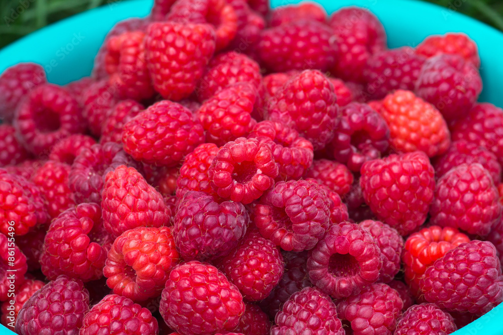 Strawberries / Image of a bunch of fresh strawberries Strawberries / Image of a bunch of fresh strawberries