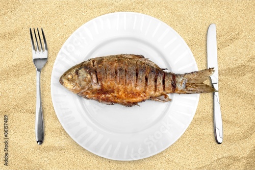 Fish, plate, cooked.