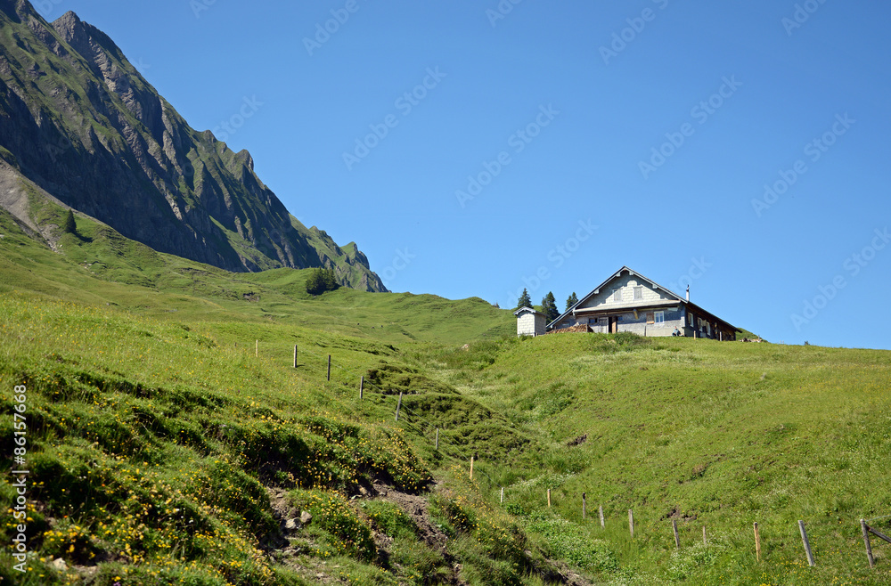 Alp auf dem Pragelpass, Kanton Schwyz