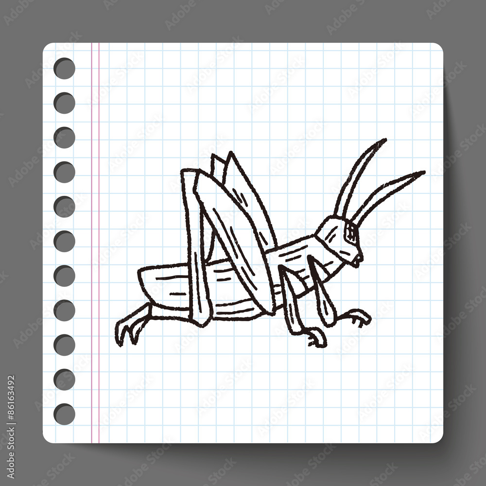 grasshopper doodle grasshopper doodle