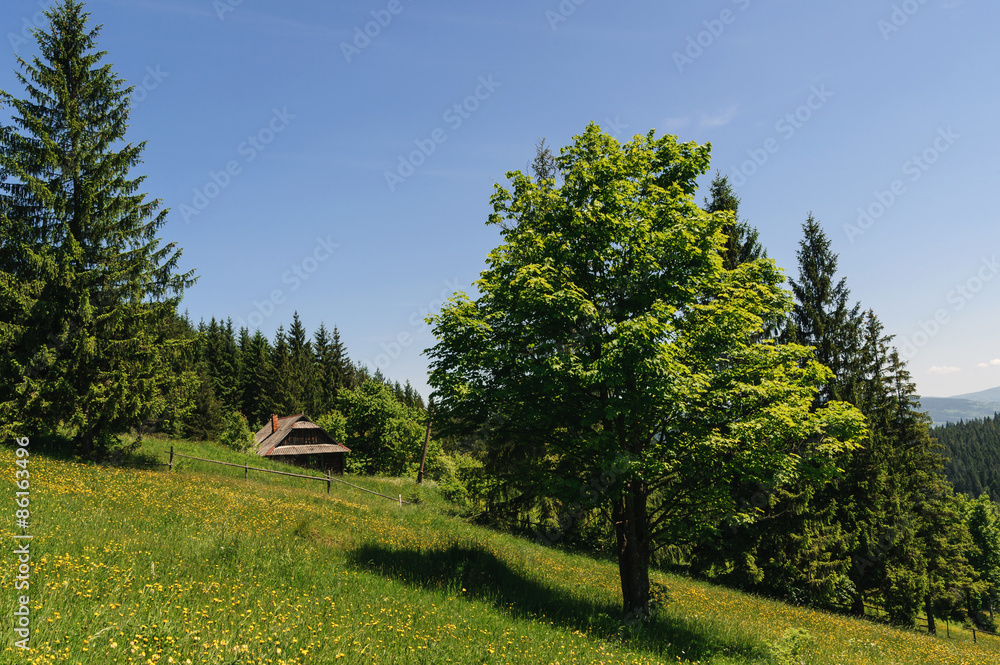 Mountain landscape. Carpathians Mountain landscape. Carpathians