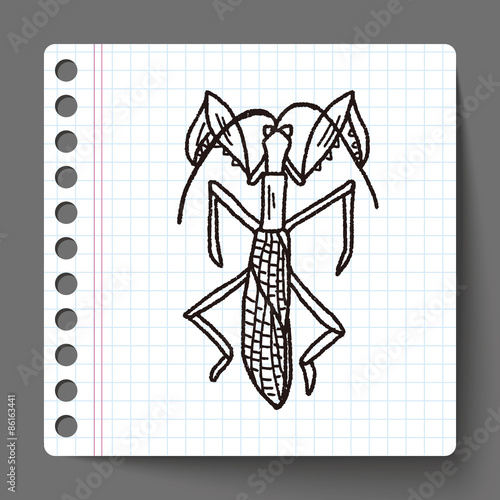 Manti doodle