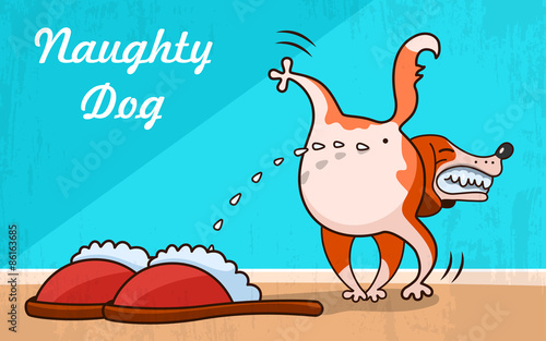 Funny dog
