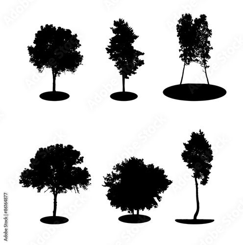 Set of Tree Silhouette Isolated on White Backgorund.