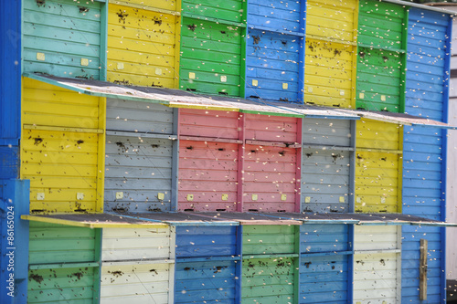Swarm of Bees - Beekeeping - Beehives © darkodozet